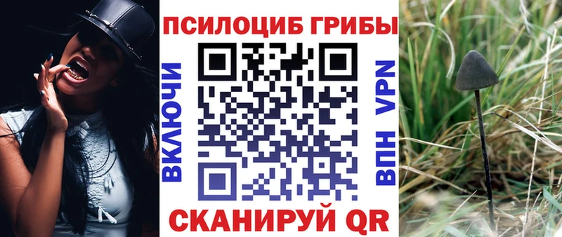 KRAKEN онион Полярные Зори Галлюциногенные грибы Magic Shrooms